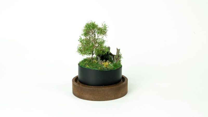 Abandoned tiny house