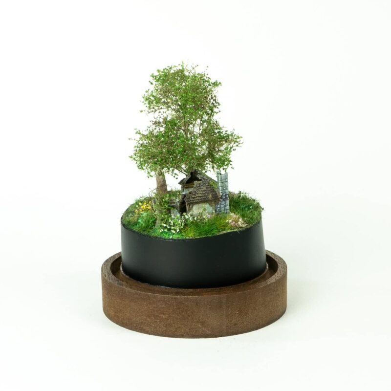 Abandoned tiny house