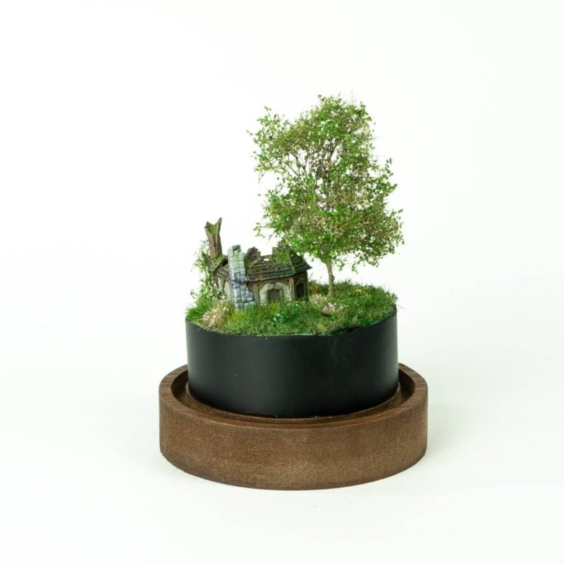 Abandoned tiny house