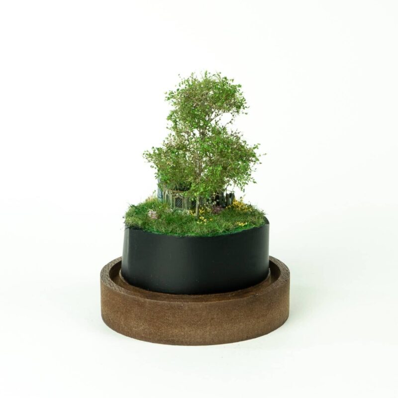 Abandoned tiny house