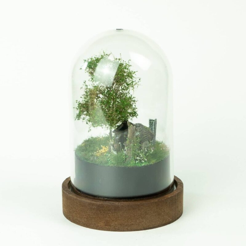 Abandoned tiny house