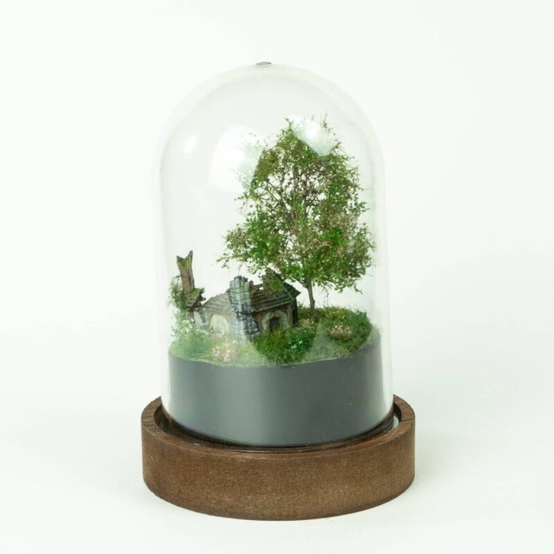 Abandoned tiny house