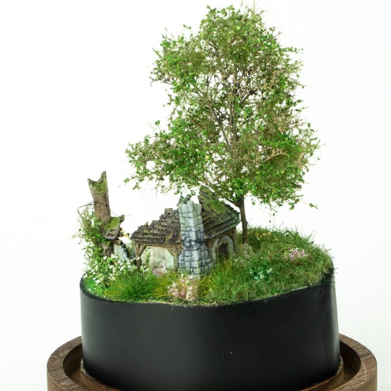 Abandoned tiny house