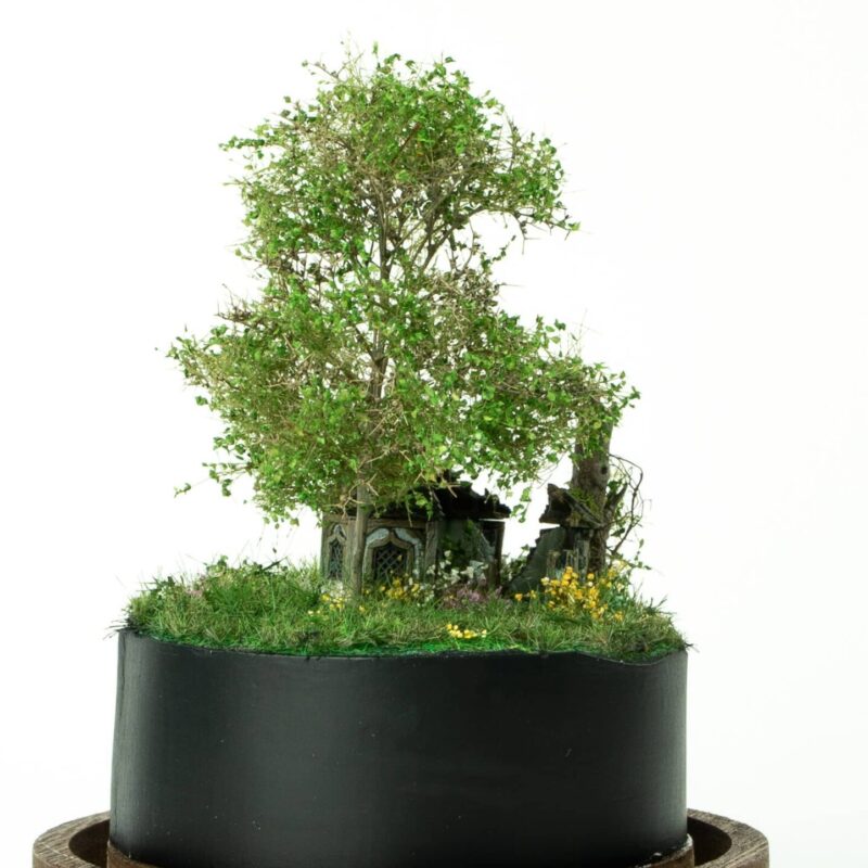 Abandoned tiny house