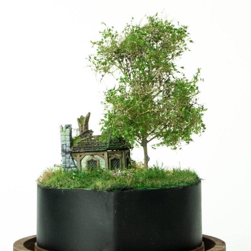 Abandoned tiny house